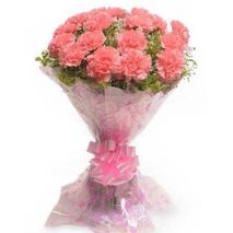 send 12 pink carnation bouquet to tokyo