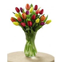 send 12 mixed tulips to japan