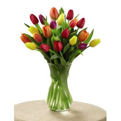 send 12 mixed tulips to japan