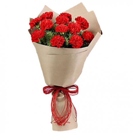 send 12 red carnations to tokyo