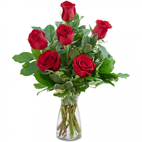 send 6 eye catching red rose vase to tokyo