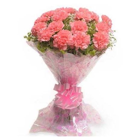 send 12 pink carnation bouquet to tokyo