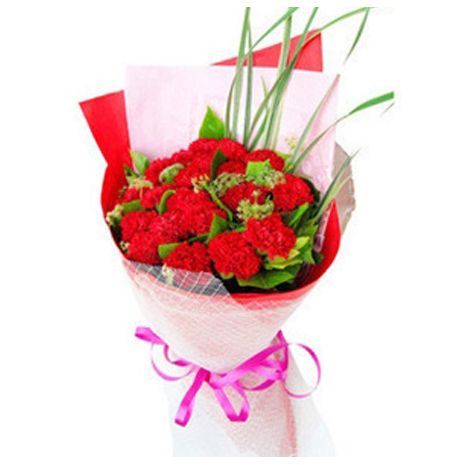 send 12 red carnations to tokyo