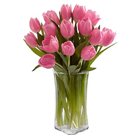 send 12 pink prelude tulip bouquet to japan
